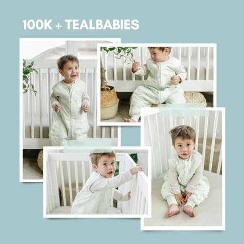 Dreamsuit | Seashell | 1.5 TOG