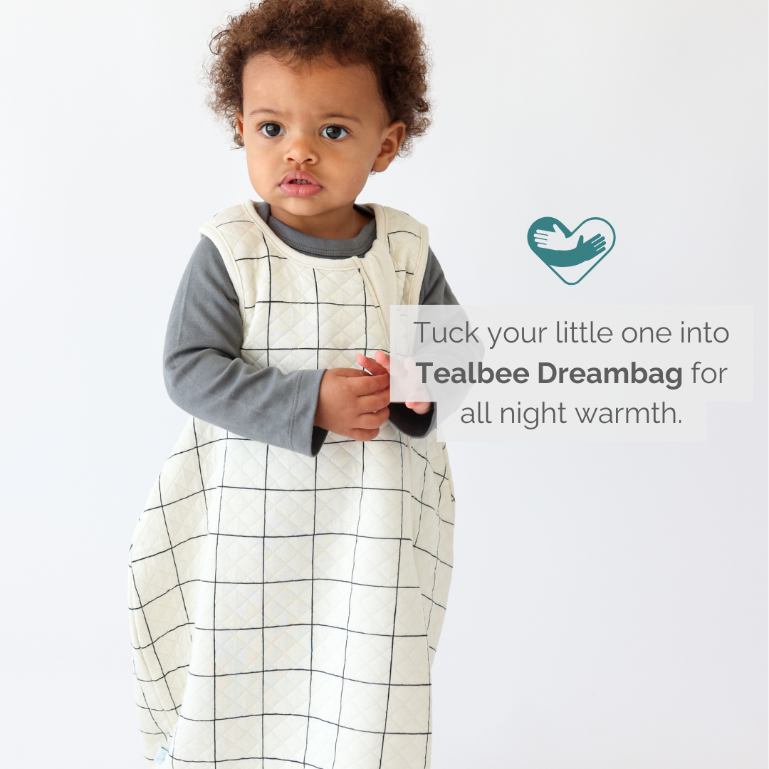 A snug and warm Dreambag designed for toddlers, featuring soft fabric and a secure fit for safe and comfortable sleep.